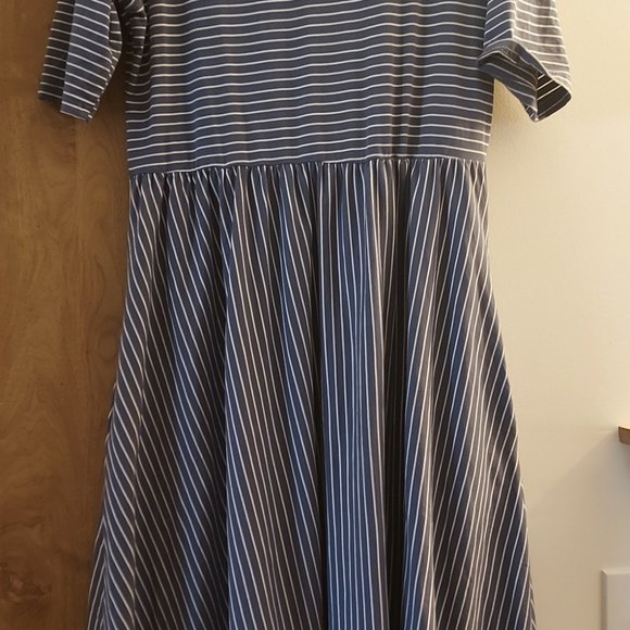 Latched Mama Bluebird stripes CCD - Picture 4 of 6